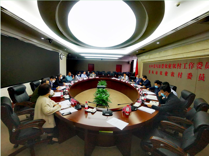 dEZI_1652922842723037070.png 19feb88cd275ddb9f6fbeef5fd914da.png