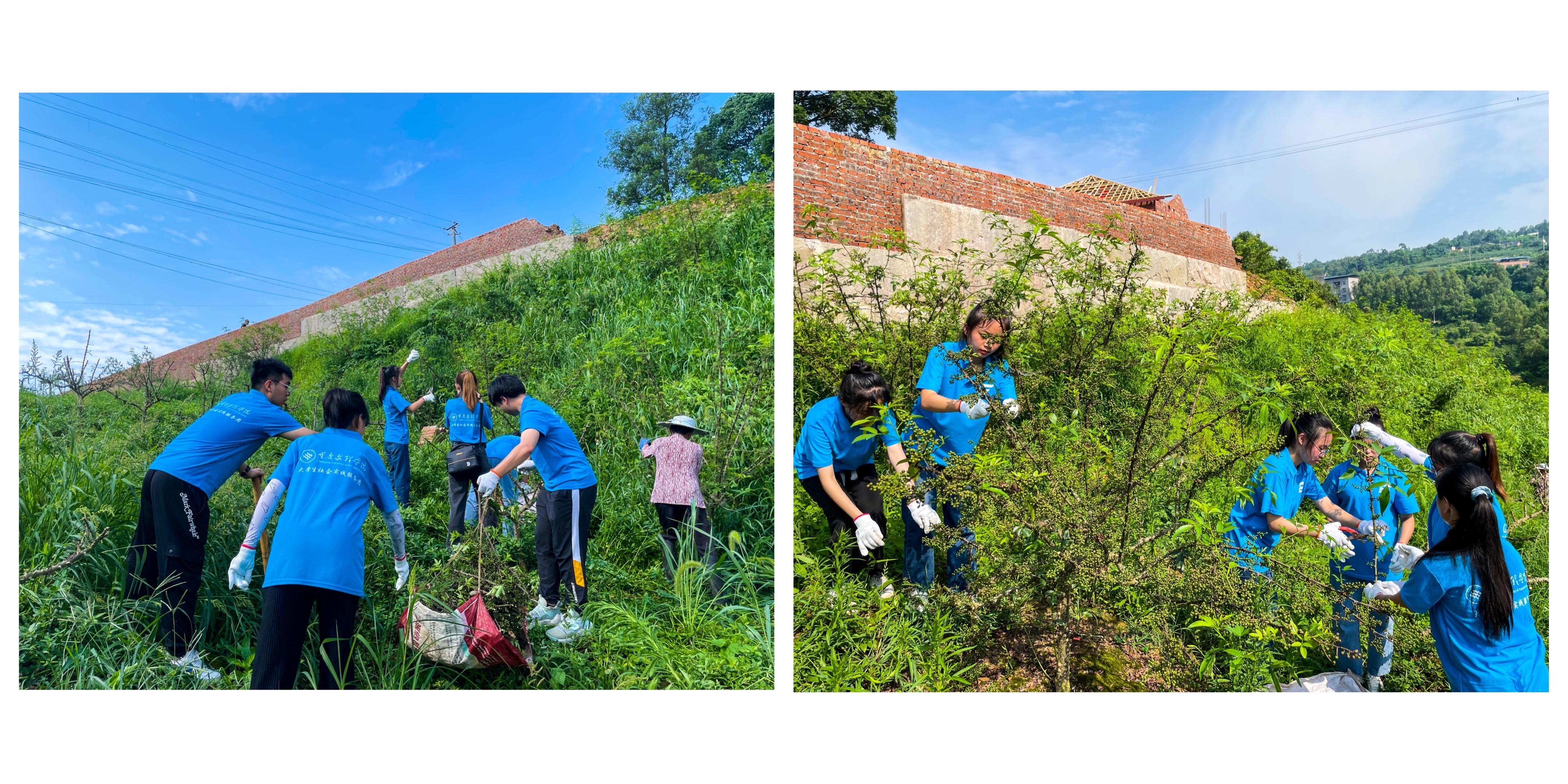 kiwI_1656769232268069953.png 15F325EBE3DA990EF2881C6735CA7394.png