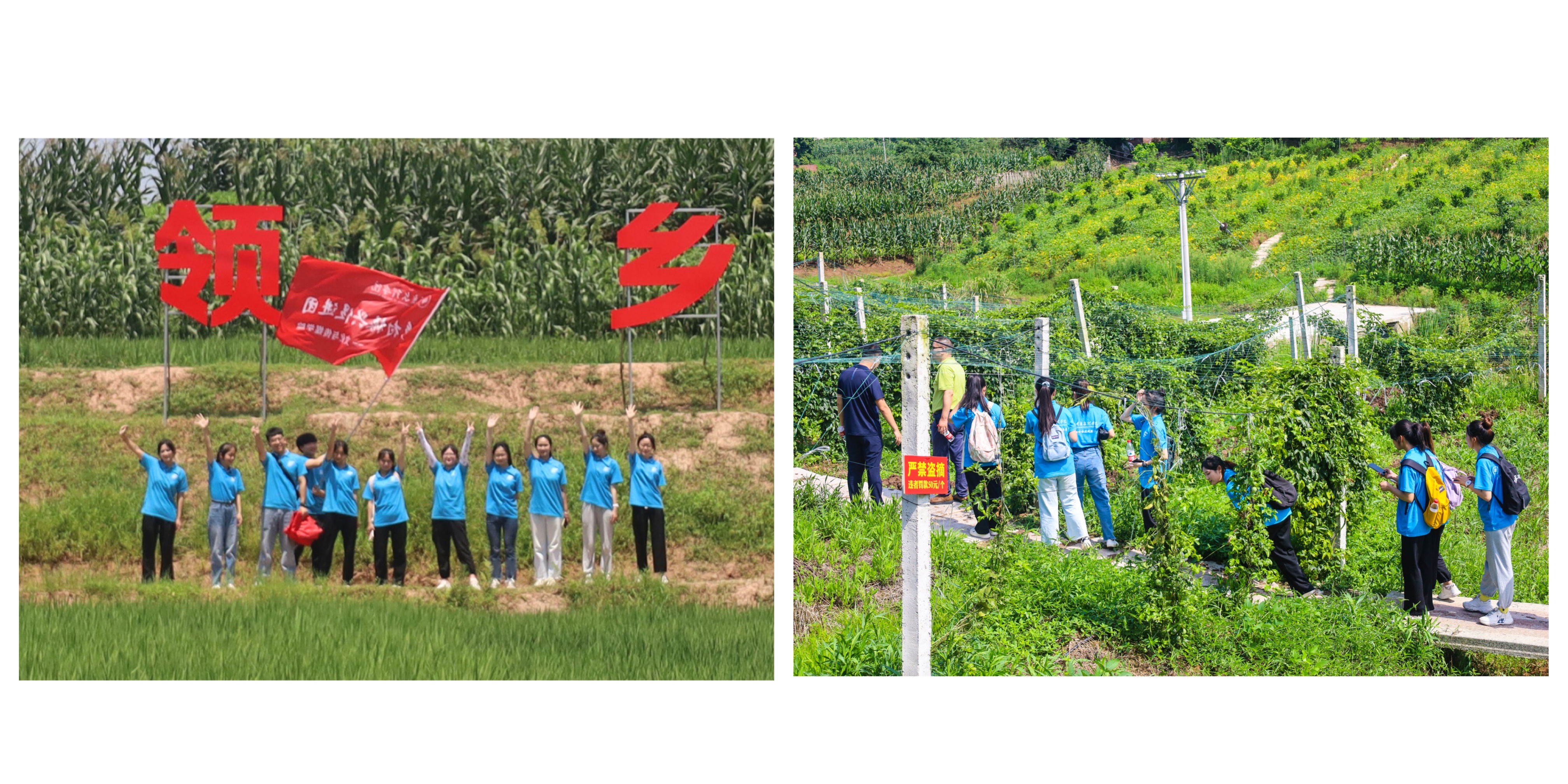 wuXY_1656769170927004546.png 78AB360C9F1B3D5DD11318B54E7F63AE.png